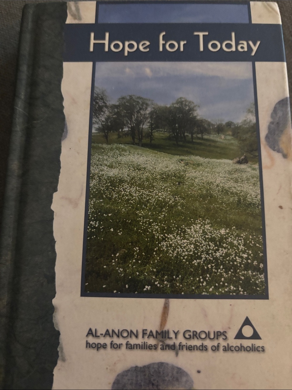 Al-Anon 'Hope for Today' Hardcover Book - Blue/Green
